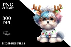 Expressive Baby Havanese, High-Res PNG Product Image 3