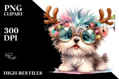 Expressive Baby Havanese PNG Product Image 1