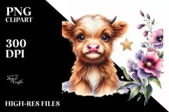 Sweet Pea Baby Highland Cow Smiling Product Image 3