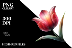 Tulip PNG Product Image 2
