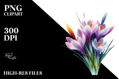 Crocus Artwork PNG Product Image 2