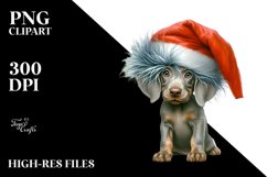 Expressive Baby Weimaraner PNG Product Image 3