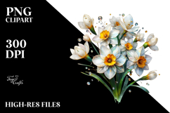 Narcissus, White PNG Product Image 2