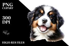 Happy Baby Bernese Mountain Dog Product Image 2