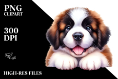 Happy Baby Saint Bernard, Clipart PNG Product Image 2