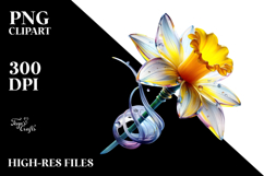 Daffodil, Watercolor PNG Product Image 2