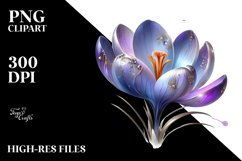 Glossy Crocus Shiny Material and Splash | Sublimation Product Image 3