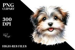 Happy Baby Havanese, Clipart PNG Product Image 2