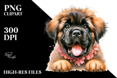 Cute Baby Mastiff, High-Res PNG Product Image 2