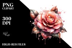Shiny Camellia Watercolor Splash Clipart Product Image 1