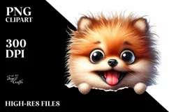 Funny Pomeranian Sticker | Clipart Product Image 3