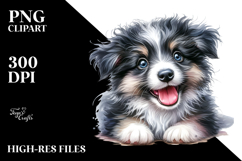 Cute Baby Border Collie, High-Res PNG Product Image 2