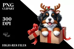 Winter Bernese Mountain Dog in Gift Box PNG Product Image 1