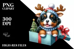 Winter Bernese Mountain Dog in Gift Box PNG Product Image 1