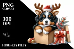 Winter Bernese Mountain Dog in Gift Box PNG Product Image 3