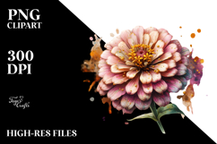 blossoming Zinnia, Watercolor PNG Product Image 2