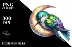 Sleeping Baby Hummingbird with Moon PNG Product Image 1