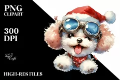Expressive Face Baby Poodle, Transparent PNG Product Image 3