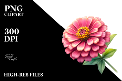 Zinnia Watercolor Splash PNG Product Image 2