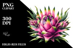 Dragonfruit Sublimation Clipart Product Image 3