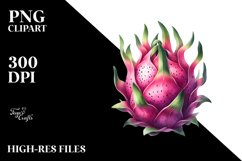 Dragonfruit | Clipart Product Image 3
