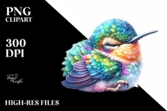 Colorful Baby Hummingbird Sleeping Clipart Product Image 1