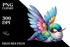 Colorful Baby Hummingbird Sleeping Clipart Product Image 1