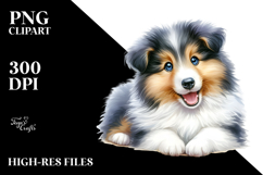 Cute Baby Collie, PNG Product Image 2