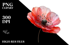Poppy PNG Product Image 2
