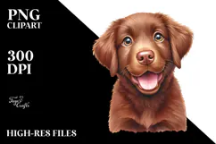 Chesapeake Bay Retriever, Joyful and Bright, PNG Product Image 2