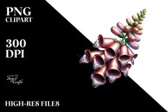 Shiny Foxglove | Sublimation Clipart Product Image 1