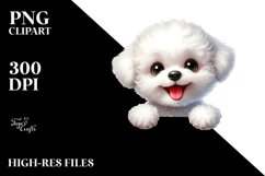 Enthusiastic Bichon Frise Baby | Clipart Product Image 1
