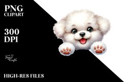 Enthusiastic Bichon Frise Baby | Clipart Product Image 3