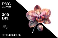 Sublimation|Clipart Product Image 3