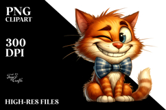 Smirking Cat, Soft PNG Product Image 2