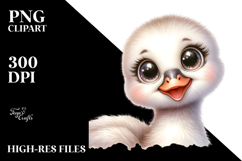 Cute Baby Swan, PNG Product Image 2