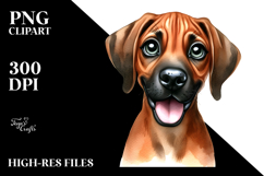 Cute Rhodesian Ridgeback with Big Eyes PNG Product Image 2