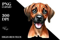 Cute Rhodesian Ridgeback PNG Product Image 2
