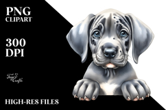 Baby Great Dane with Big Eyes PNG Product Image 2