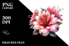 Azalea Watercolor Splash PNG Product Image 2