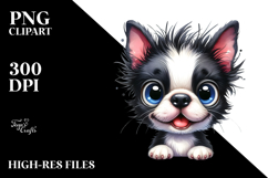 Crazy Boston Terrier PNG Product Image 2