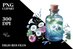 Watercolor Bottle | Morning Glory Clipart Product Image 2