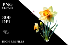 Daffodil PNG Product Image 2