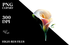 Calla Lily with Metallic Insertions PNG Product Image 2