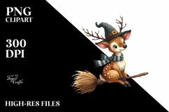 Detailed Digital Painting of Gnome on Witch Broom | Product Image 1