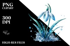 Glossy Snowdrop Watercolor Splash | Clipart Product Image 1