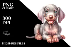 Cute Baby Weimaraner, PNG Product Image 2