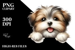 Fun Baby Havanese Clipart Product Image 3