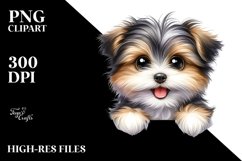 Fun Baby Havanese Clipart Product Image 3