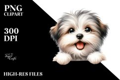 Funny Baby Havanese Over White Paper Product Image 1